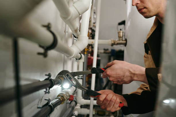 Best Clogged Drain Plumber  in Lakewood, WA